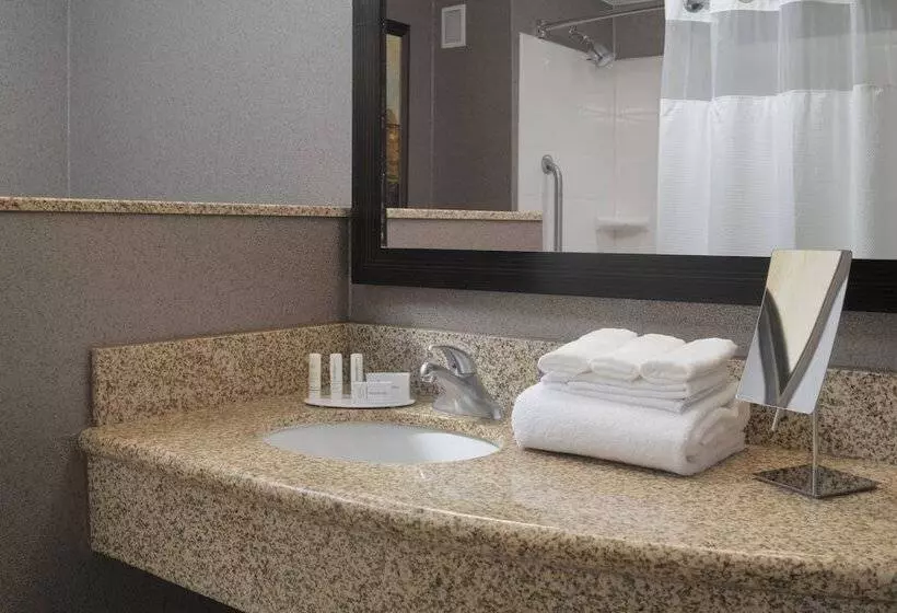 اتاق استاندارد با 2 تخت دوبل, Courtyard By Marriott San Antonio Riverwalk