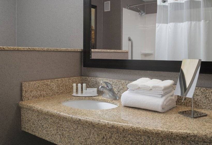 غرفة قياسية سرير مزدوج ذات إطلالة, Courtyard By Marriott San Antonio Riverwalk