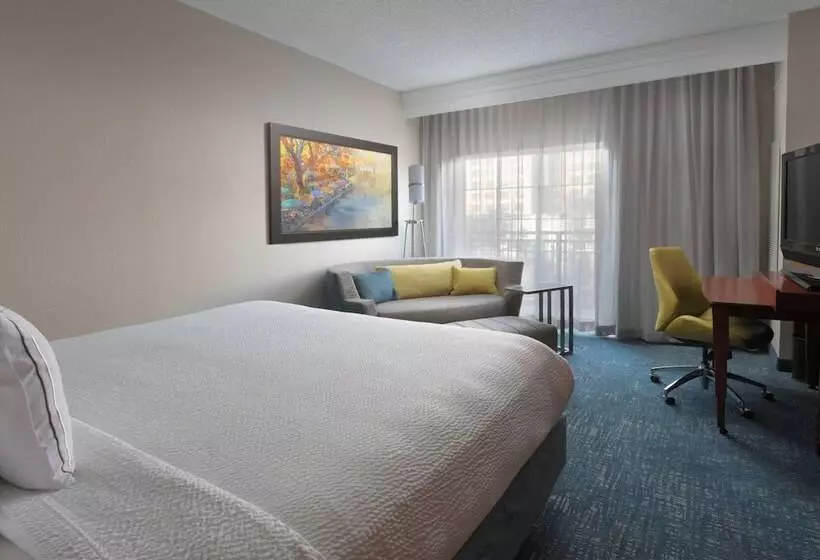 اتاق استاندارد با تخت دوبل و چشم‌انداز, Courtyard By Marriott San Antonio Riverwalk