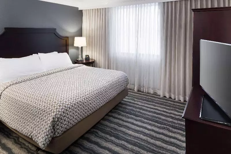 プレミアムスイート, Embassy Suites By Hilton Tampa Brandon