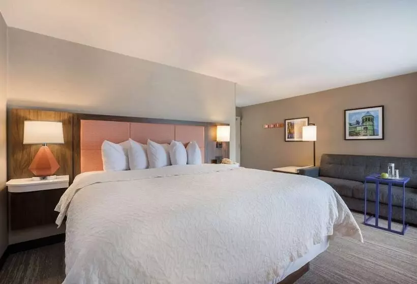 اتاق استاندارد با تخت بزرگ, Hampton Inn Princeton