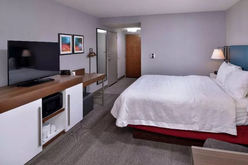 اتاق استاندارد با تخت بزرگ, Hampton Inn & Suites Carson City