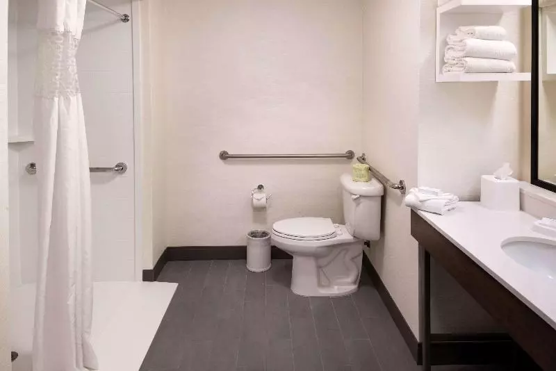 اتاق استاندارد با تخت بزرگ, Hampton Inn & Suites Carson City