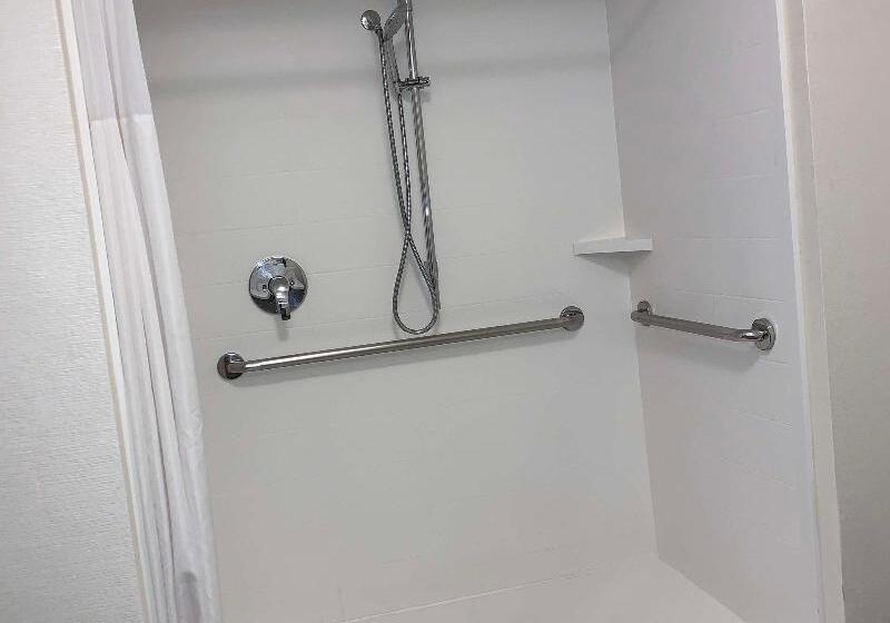 Стандартный Номер Кровать Кинг, Hampton Inn & Suites Carson City