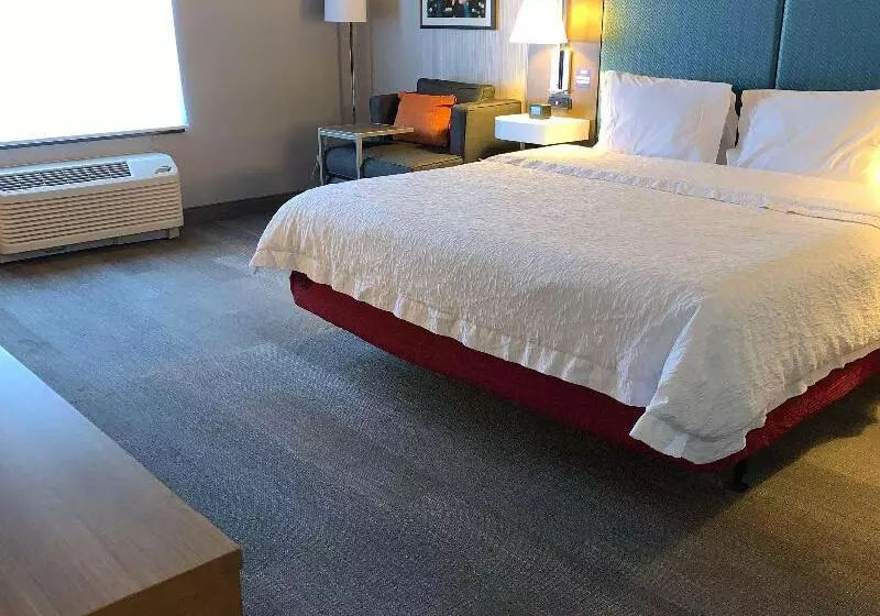 اتاق استاندارد با تخت بزرگ, Hampton Inn & Suites Carson City