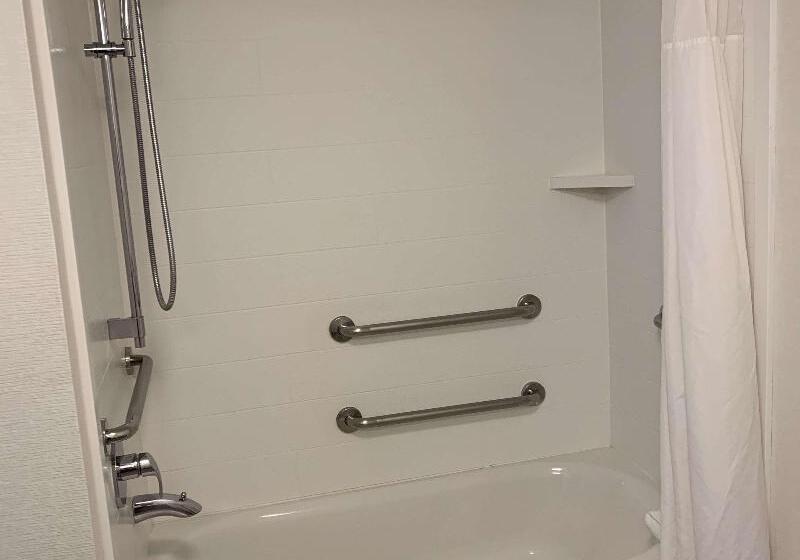 带大床的标准间, Hampton Inn & Suites Carson City