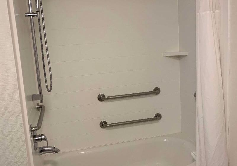 Стандартный Номер Кровать Кинг, Hampton Inn & Suites Carson City