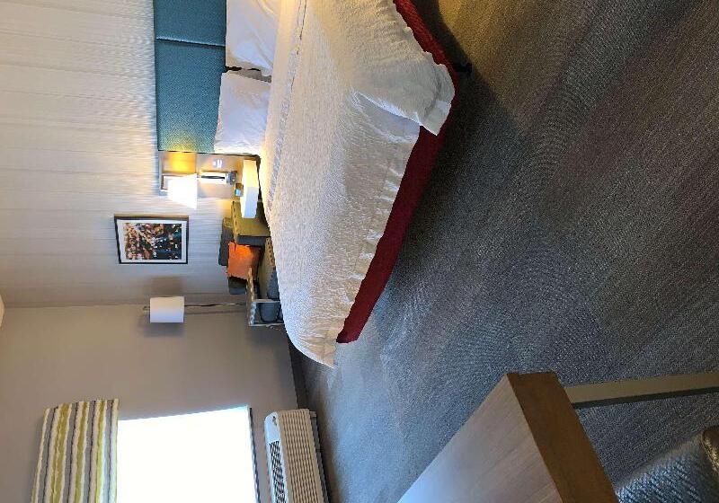 带大床的标准间, Hampton Inn & Suites Carson City