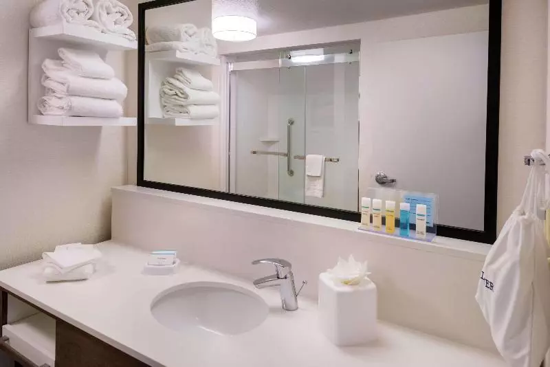 استودیو استاندارد با تخت کینگ, Hampton Inn & Suites Carson City