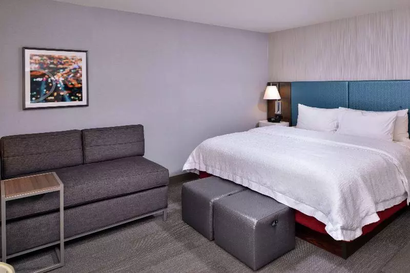 استودیو استاندارد با تخت کینگ, Hampton Inn & Suites Carson City