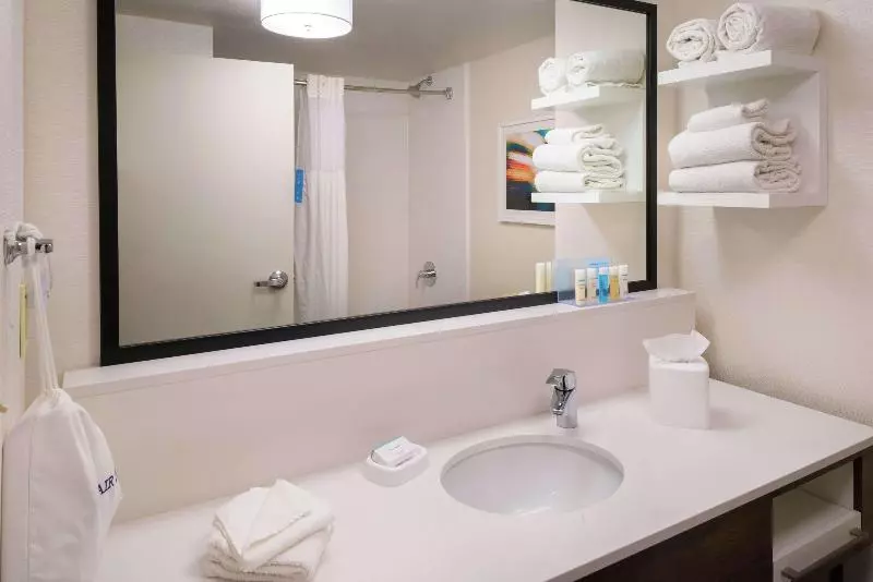 سوئیت با تخت بزرگ, Hampton Inn & Suites Carson City