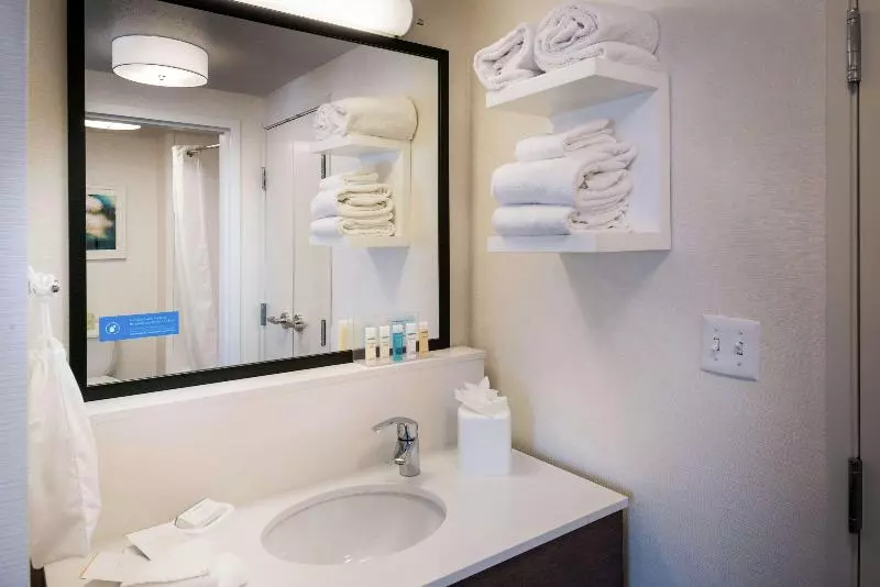 سوئیت با تخت بزرگ, Hampton Inn & Suites Carson City
