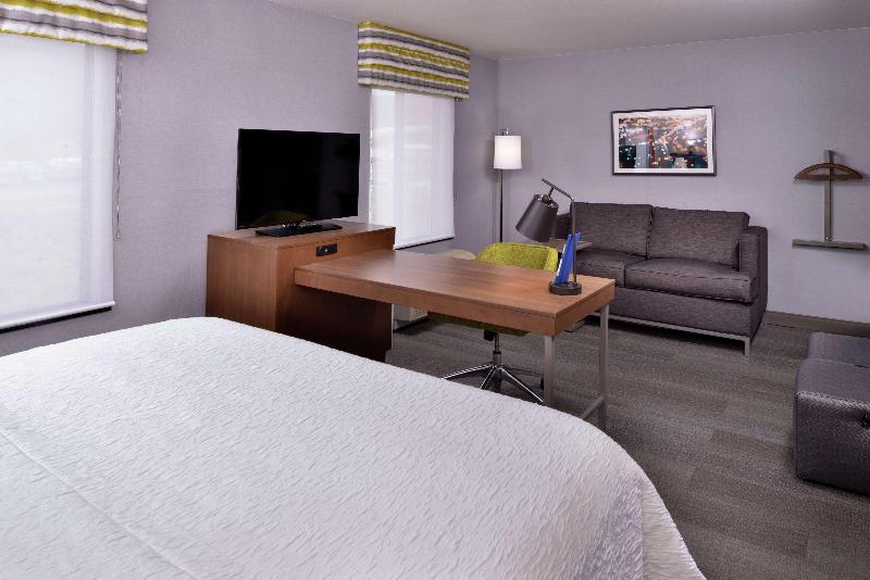 带大床的套房, Hampton Inn & Suites Carson City