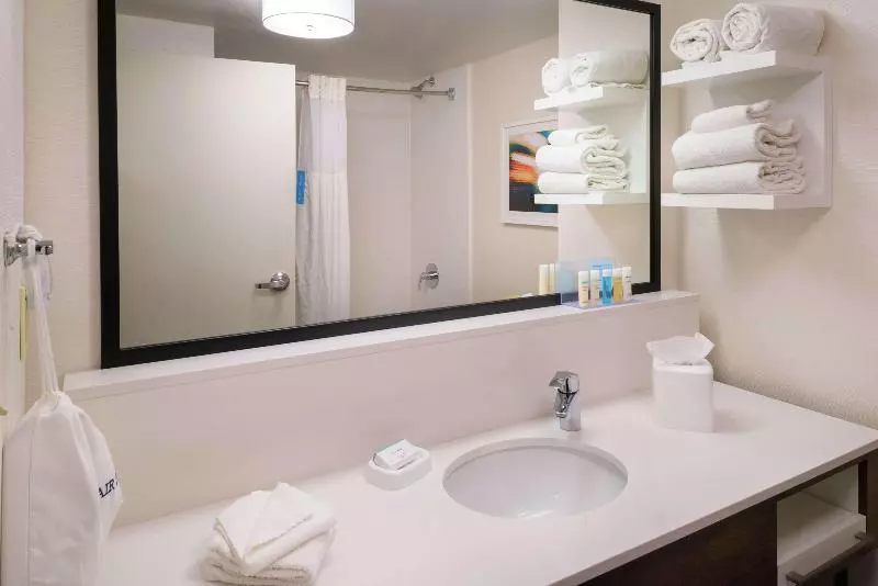 سوئیت با تخت بزرگ, Hampton Inn & Suites Carson City