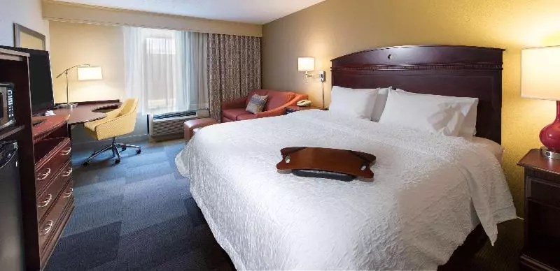 キングサイズベッドのスタンダードルーム, Hampton Inn & Suites Pensacola I10 N At Univ. Town Plaza