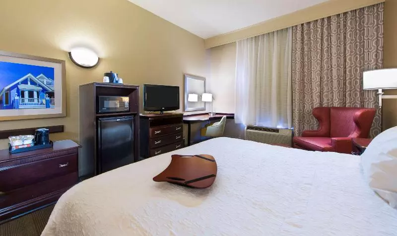 キングサイズベッドのスタンダードルーム, Hampton Inn & Suites Pensacola I10 N At Univ. Town Plaza