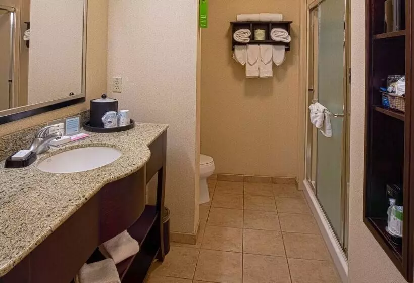 Standard-huone, Hampton Inn & Suites Sacramentoelk Grove Laguna I5