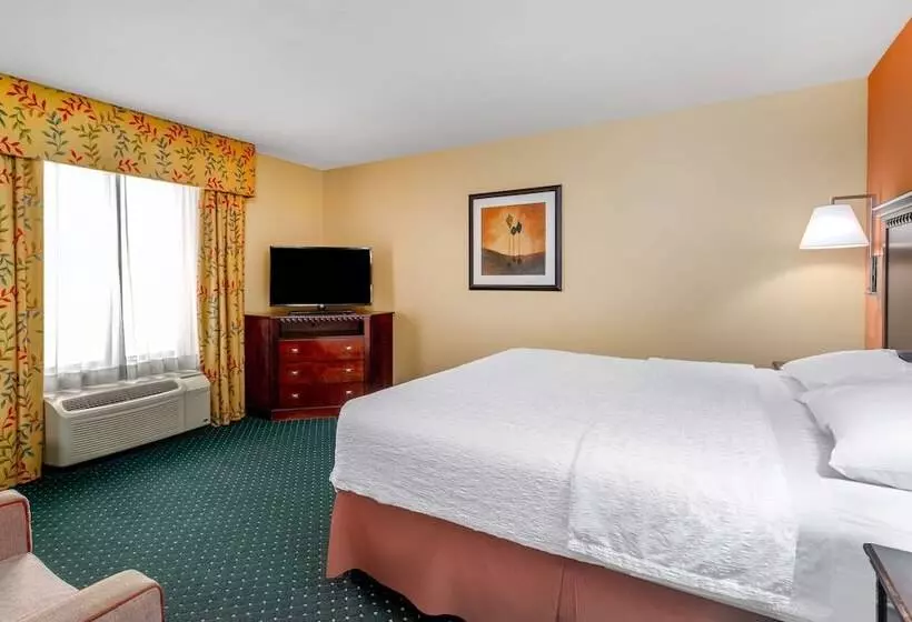 Standard-invahuone King-vuode, Hampton Inn & Suites Sacramentoelk Grove Laguna I5