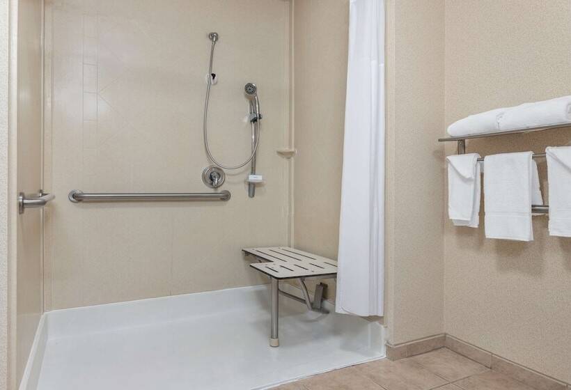 Номер Стандарт Кровать Кинг Адаптированный для Инвалидов, Hampton Inn & Suites Sacramentoelk Grove Laguna I5