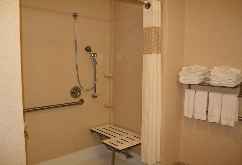 غرفة قياسية سرير كينج لذوى الإحتياجات الخاصة, Hampton Inn & Suites Sacramentoelk Grove Laguna I5