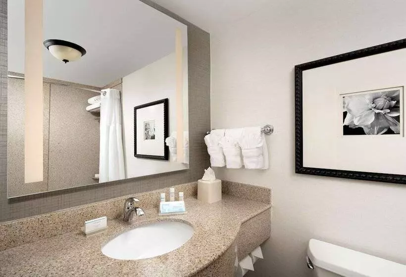 キングサイズベッドのスイートルーム, Hilton Garden Inn Atlanta West/lithia Springs