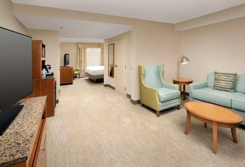 キングサイズベッドのスイートルーム, Hilton Garden Inn Atlanta West/lithia Springs