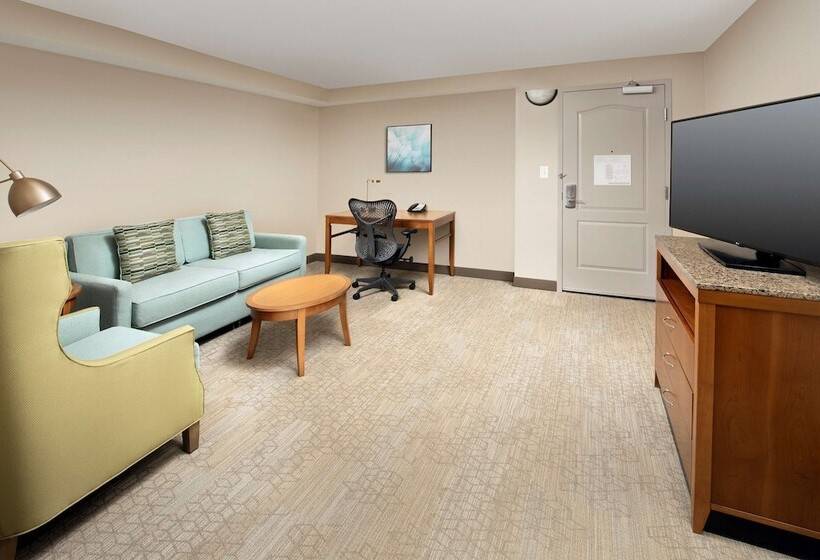 מיטת קינג בסוויטה, Hilton Garden Inn Atlanta West/lithia Springs