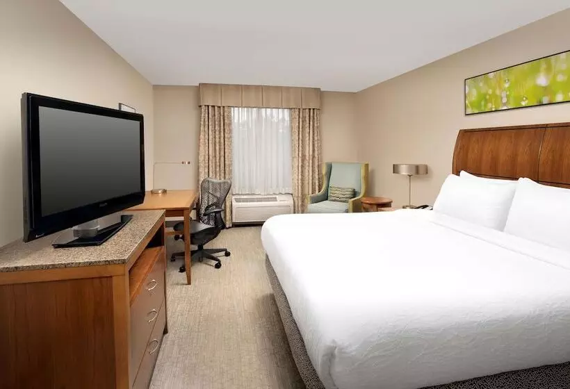 キングサイズベッドのスイートルーム, Hilton Garden Inn Atlanta West/lithia Springs
