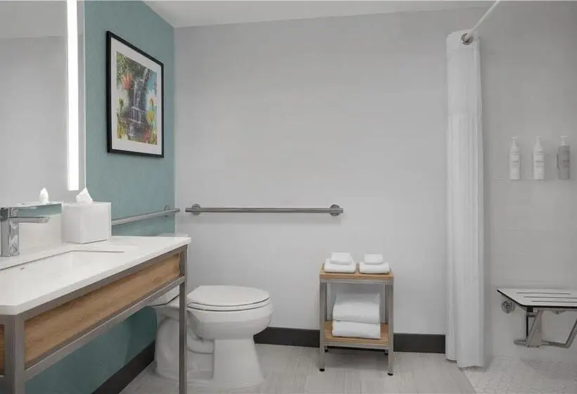 スタンダードルーム, Hilton Garden Inn Atlanta West/lithia Springs