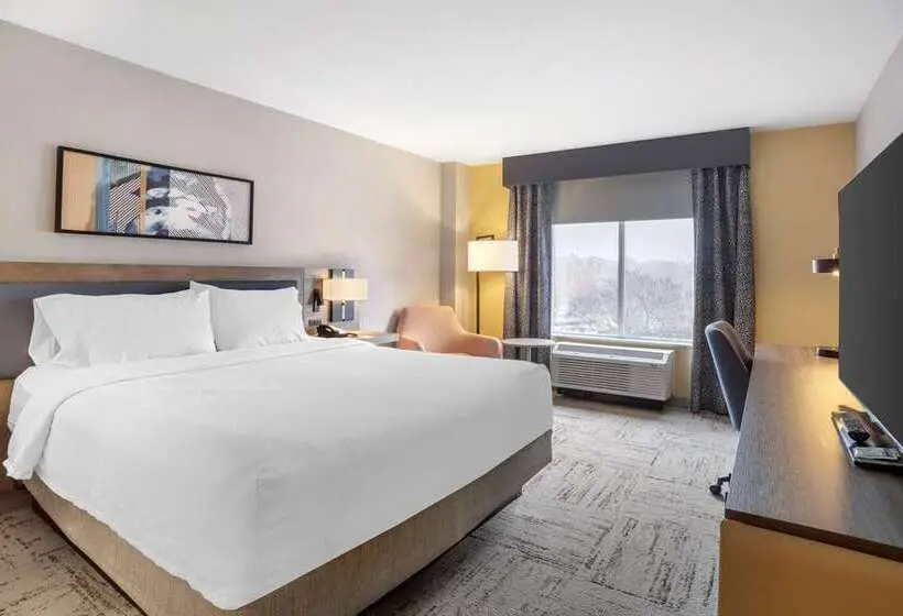 キングサイズベッドのスタンダードルーム, Hilton Garden Inn Atlanta West/lithia Springs