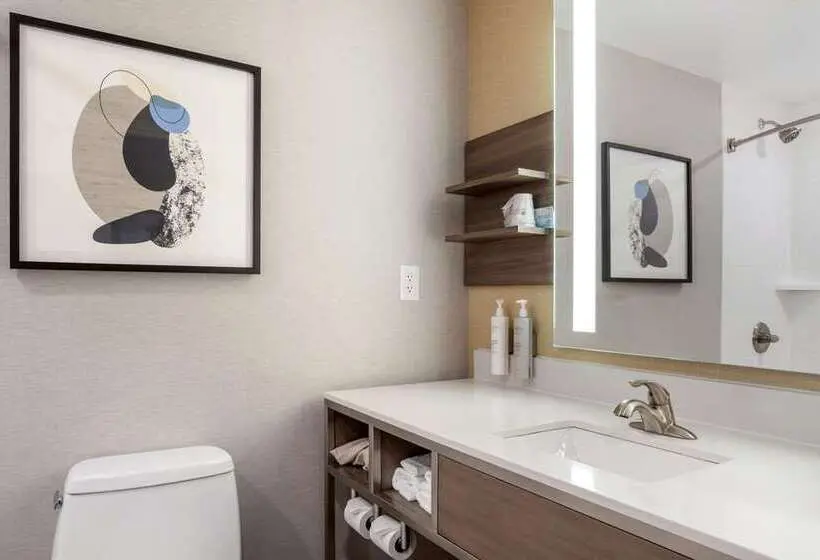 キングサイズベッドのスタンダードルーム, Hilton Garden Inn Atlanta West/lithia Springs