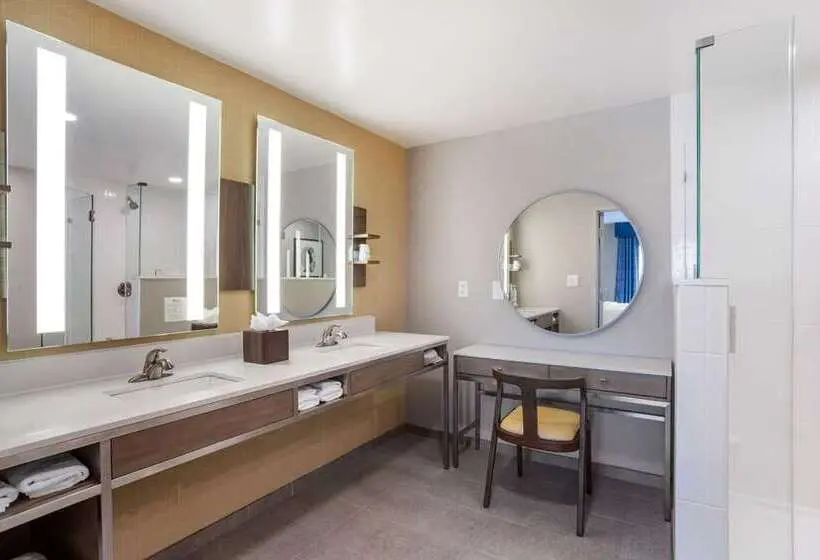 キングサイズベッドのスイートルーム, Hilton Garden Inn Atlanta West/lithia Springs