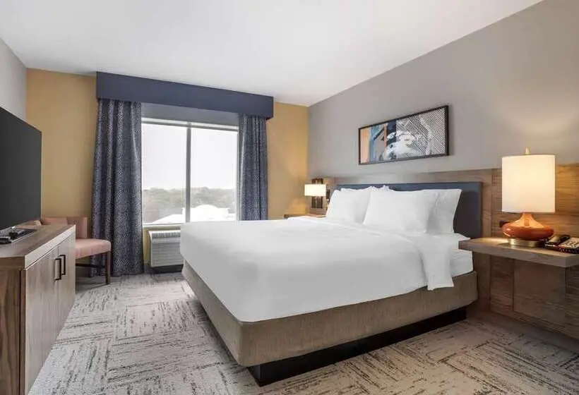 キングサイズベッドのスイートルーム, Hilton Garden Inn Atlanta West/lithia Springs