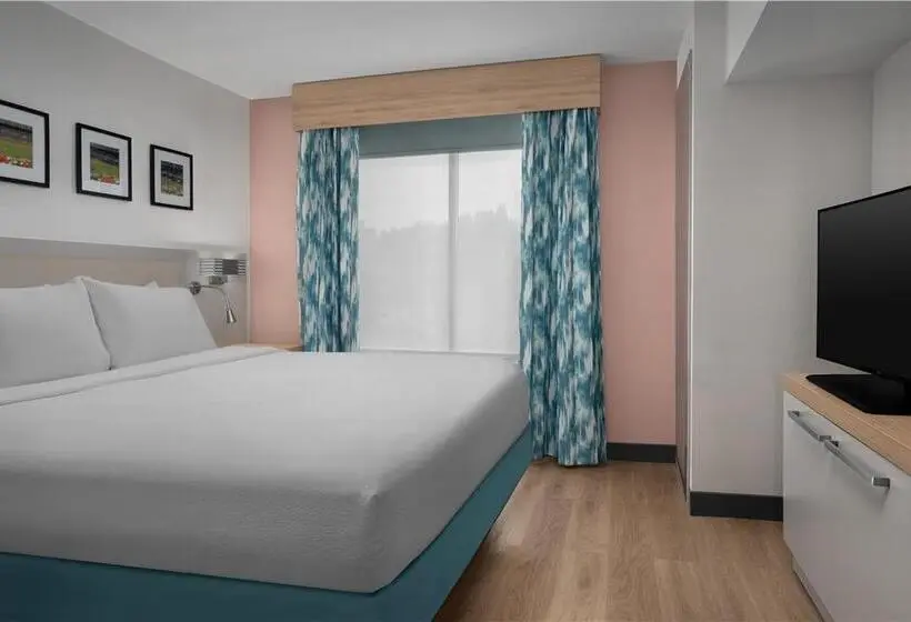 キングサイズベッドのスイートルーム, Hilton Garden Inn Atlanta West/lithia Springs