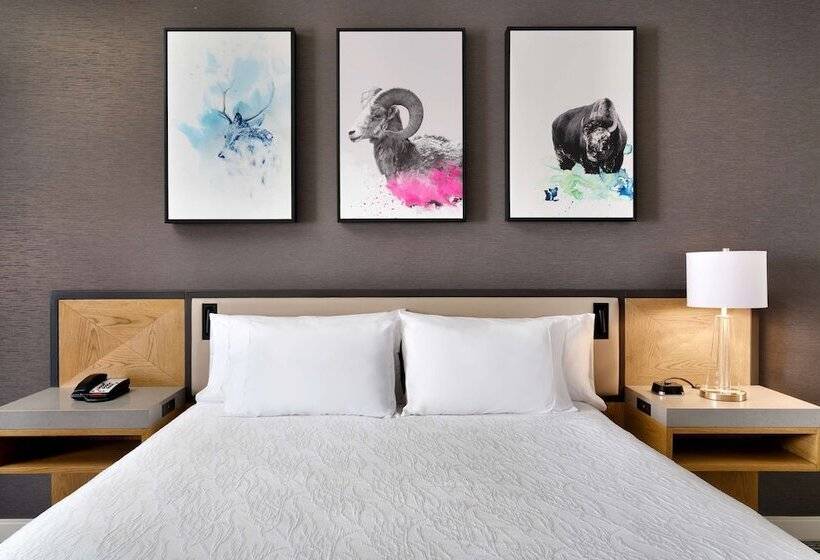 اتاق استاندارد, Hilton Garden Inn Bozeman