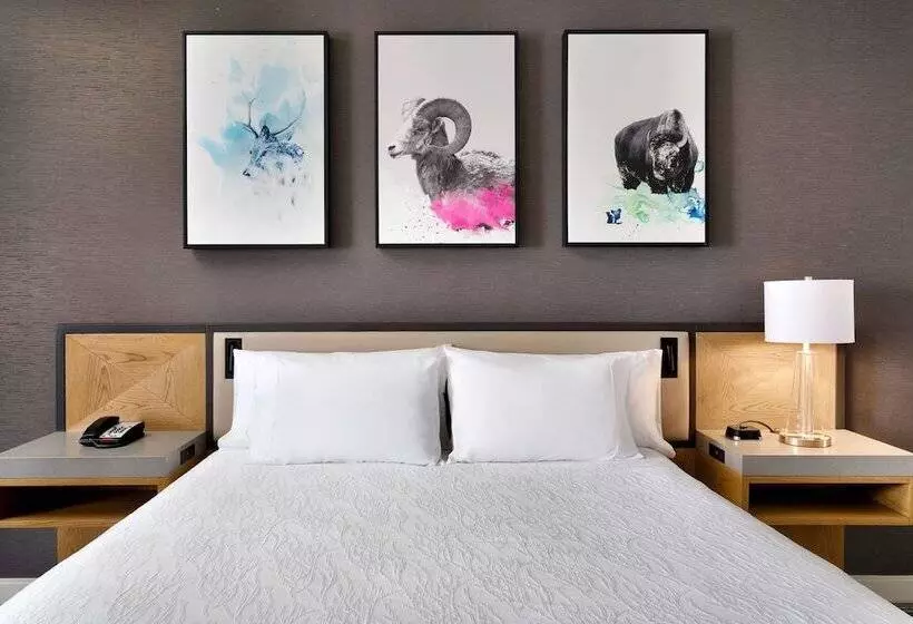 اتاق استاندارد, Hilton Garden Inn Bozeman