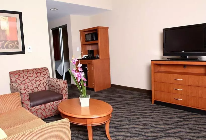 Juniorsviitti, Hilton Garden Inn Chesapeake/suffolk