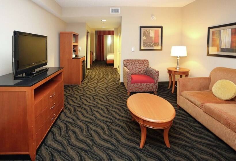 جناح جونيور, Hilton Garden Inn Chesapeake/suffolk