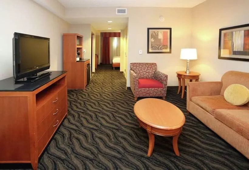 Juniorsviitti, Hilton Garden Inn Chesapeake/suffolk