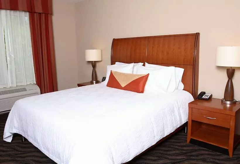 Juniorsviitti, Hilton Garden Inn Chesapeake/suffolk