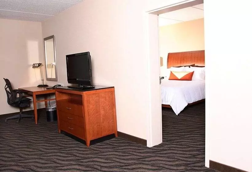 Deluxe-sviitti, Hilton Garden Inn Chesapeake/suffolk