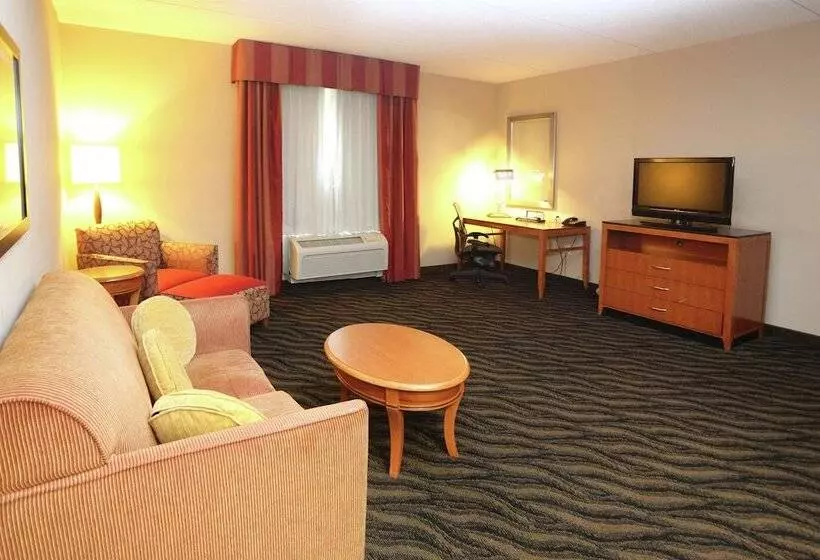 Deluxe-sviitti, Hilton Garden Inn Chesapeake/suffolk