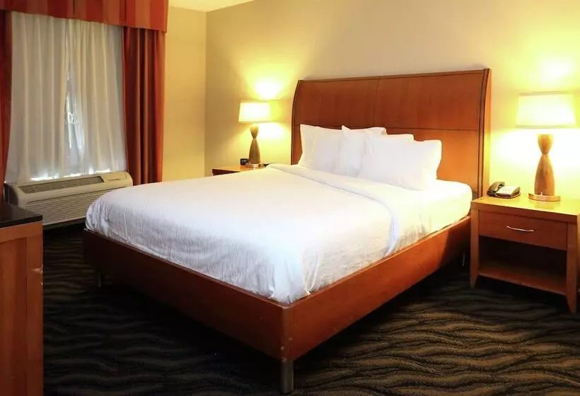Deluxe-sviitti, Hilton Garden Inn Chesapeake/suffolk