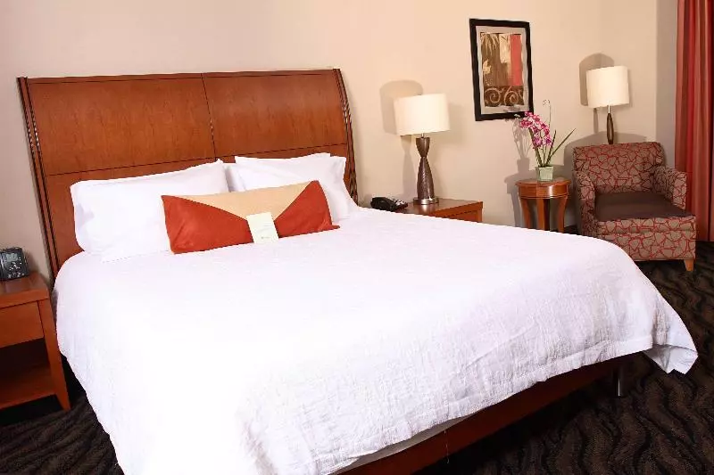 Standard-huone King-vuode, Hilton Garden Inn Chesapeake/suffolk