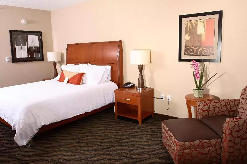Standard-huone King-vuode, Hilton Garden Inn Chesapeake/suffolk