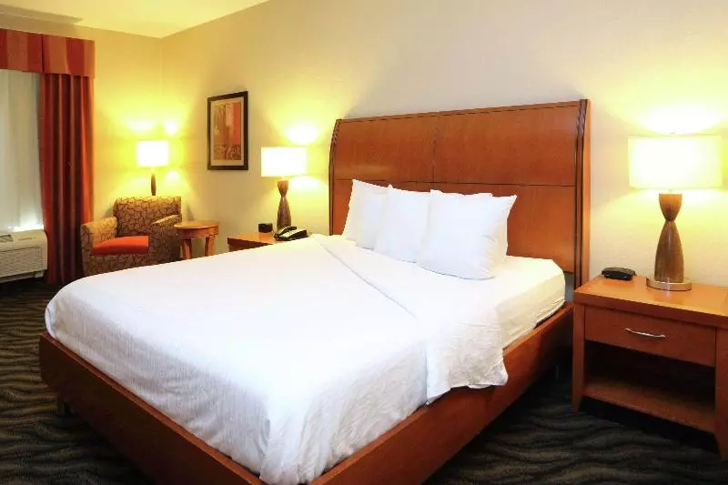 Standard-huone King-vuode, Hilton Garden Inn Chesapeake/suffolk