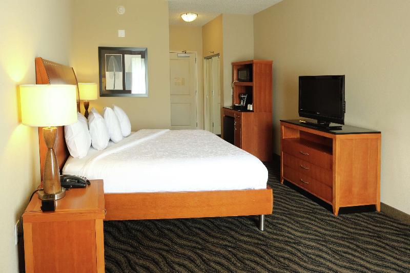 Стандартный Номер Кровать Кинг, Hilton Garden Inn Chesapeake/suffolk