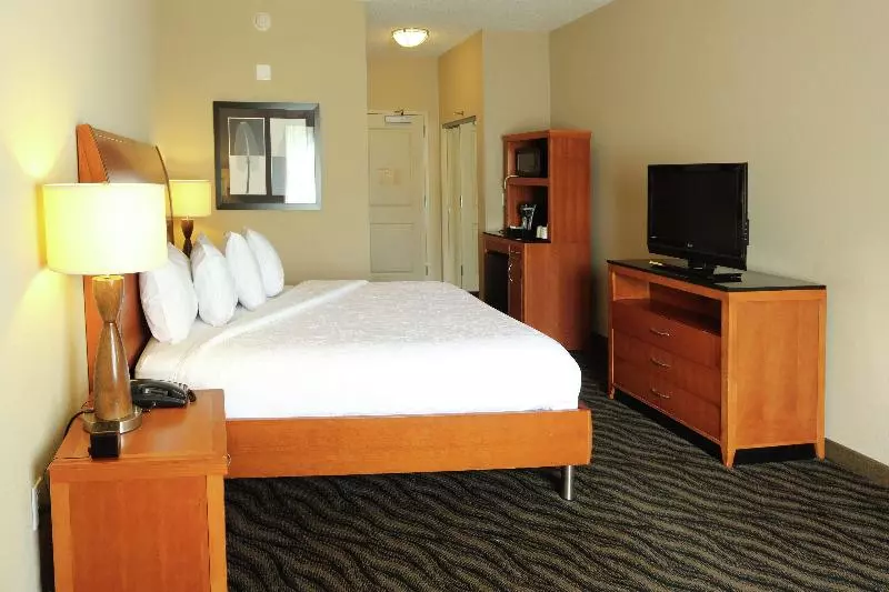 Standard-huone King-vuode, Hilton Garden Inn Chesapeake/suffolk