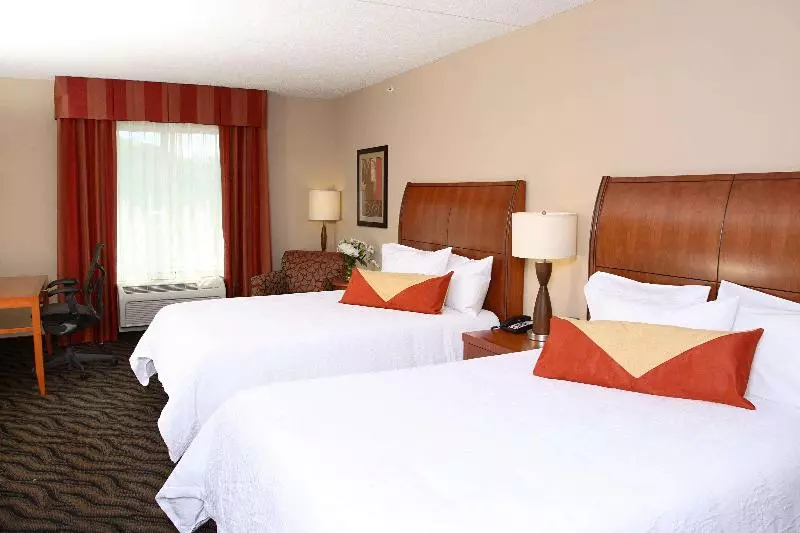 Standard-huone, Hilton Garden Inn Chesapeake/suffolk