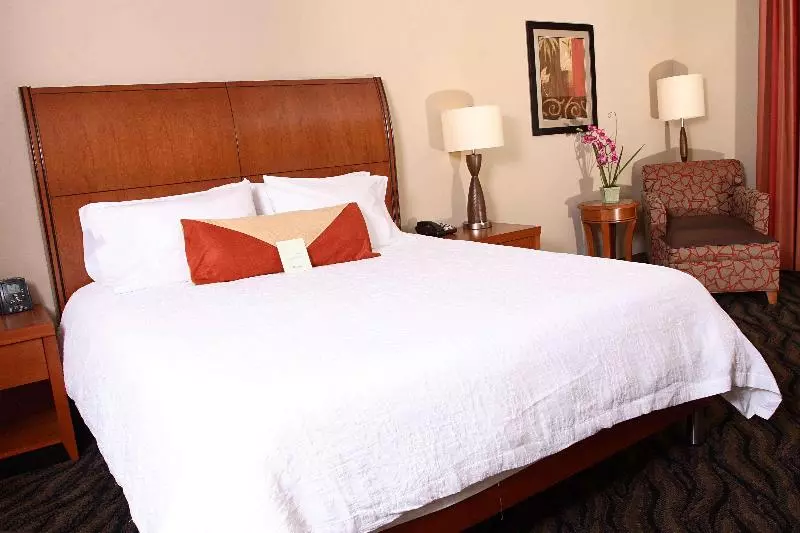 Premium-huone, Hilton Garden Inn Chesapeake/suffolk
